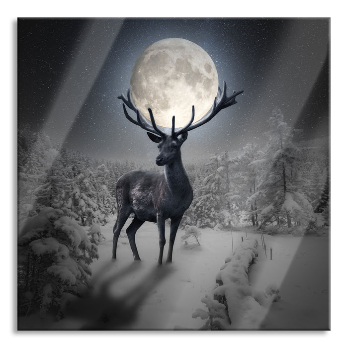 Pixxprint Rentier im Winterwald bei Mondschein B&W Detail, Glasbild Quadratisch