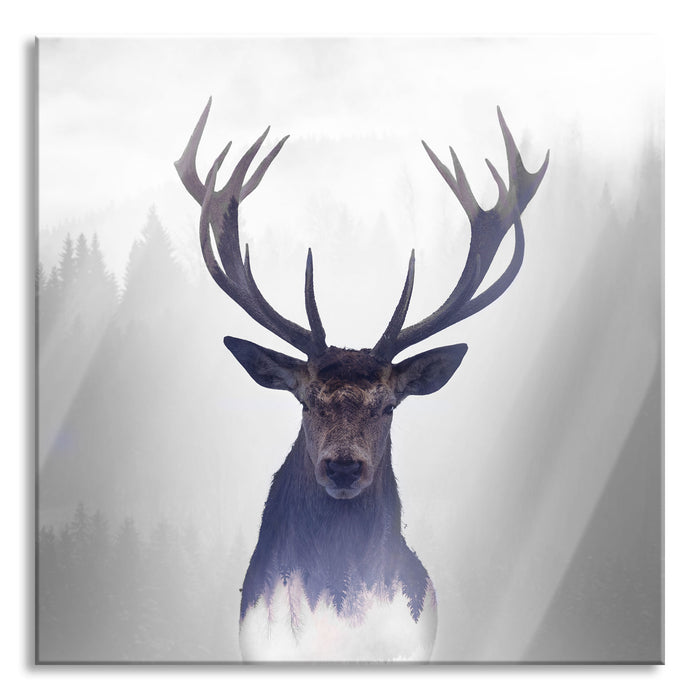 Pixxprint Nahaufnahme Hirsch im Nebelwald abstrakt B&W Detail, Glasbild Quadratisch