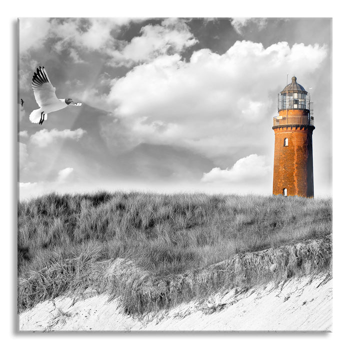 Möwen fliegen am Meer vor Leuchtturm B&W Detail, Glasbild Quadratisch