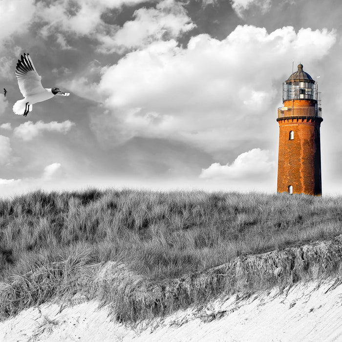 Möwen fliegen am Meer vor Leuchtturm B&W Detail, Glasbild Quadratisch
