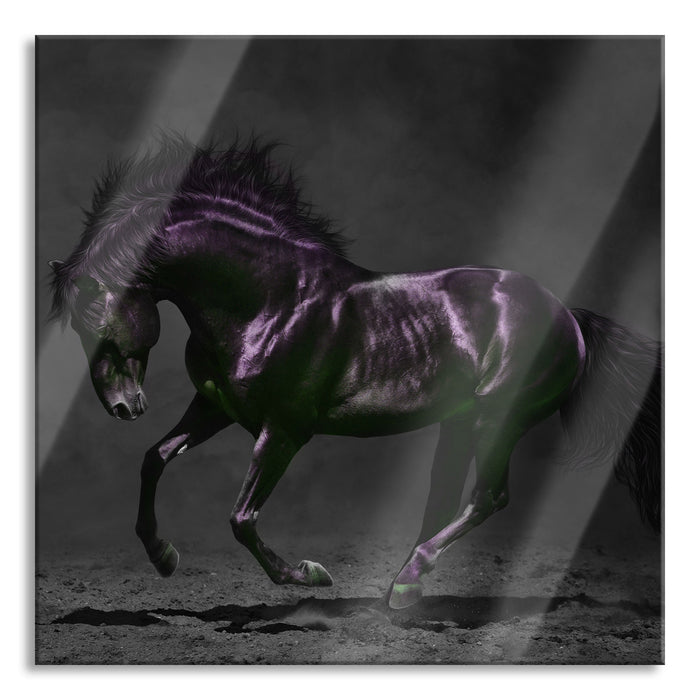 Pixxprint Edles galoppierendes schwarzes Pferd B&W Detail, Glasbild Quadratisch