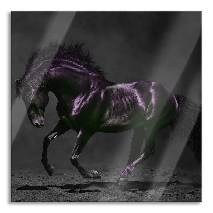 Edles galoppierendes schwarzes Pferd B&W Detail, Glasbild Quadratisch