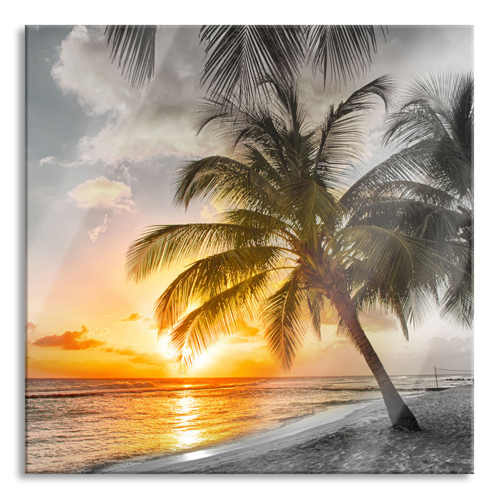 Palmen im Sonnenuntergang auf Barbados B&W Detail, Glasbild Quadratisch