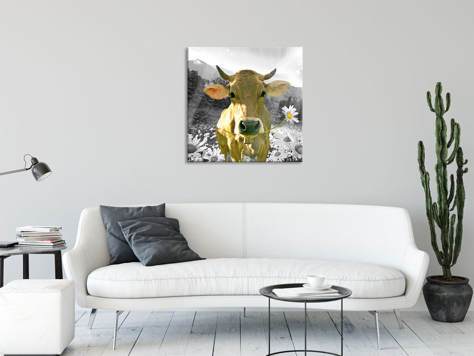 Nahaufnahme Kuh mit Margerite B&W Detail, Glasbild Quadratisch