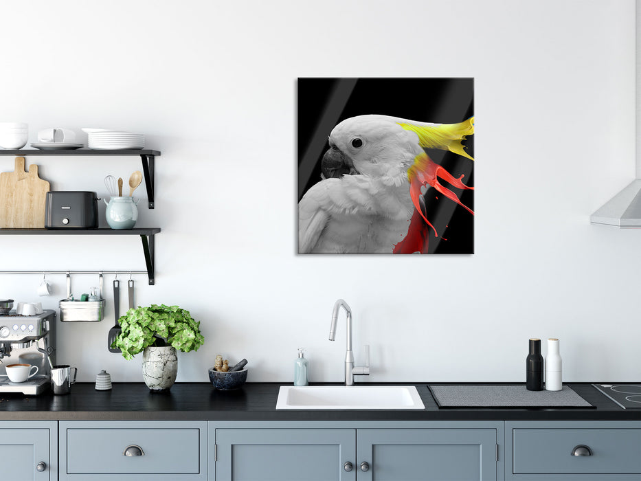 Papagei mit buntem Kamm B&W Detail, Glasbild Quadratisch