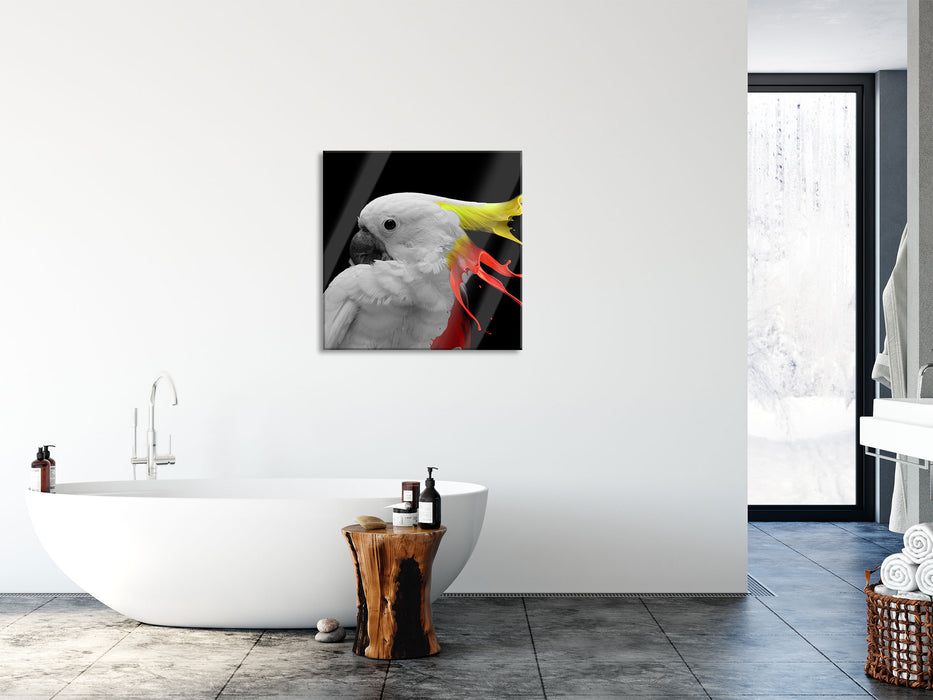 Papagei mit buntem Kamm B&W Detail, Glasbild Quadratisch