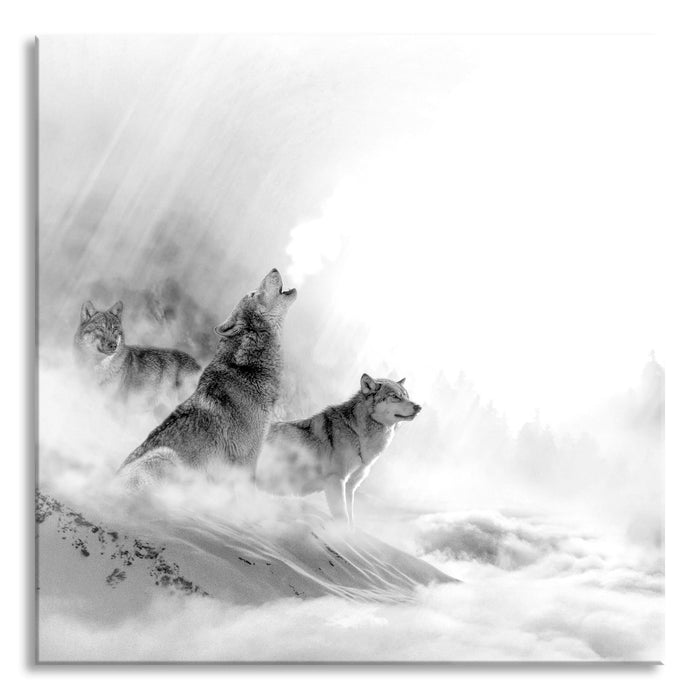 Heulende Wölfe jagen Hirsch im Nebel, Monochrome, Glasbild Quadratisch