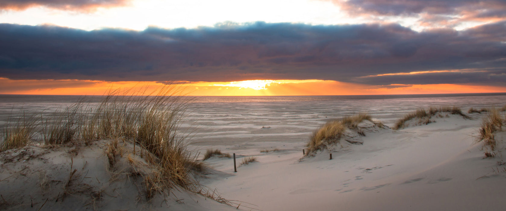 Sanddüne an der Nordsee, Glasbild Panorama