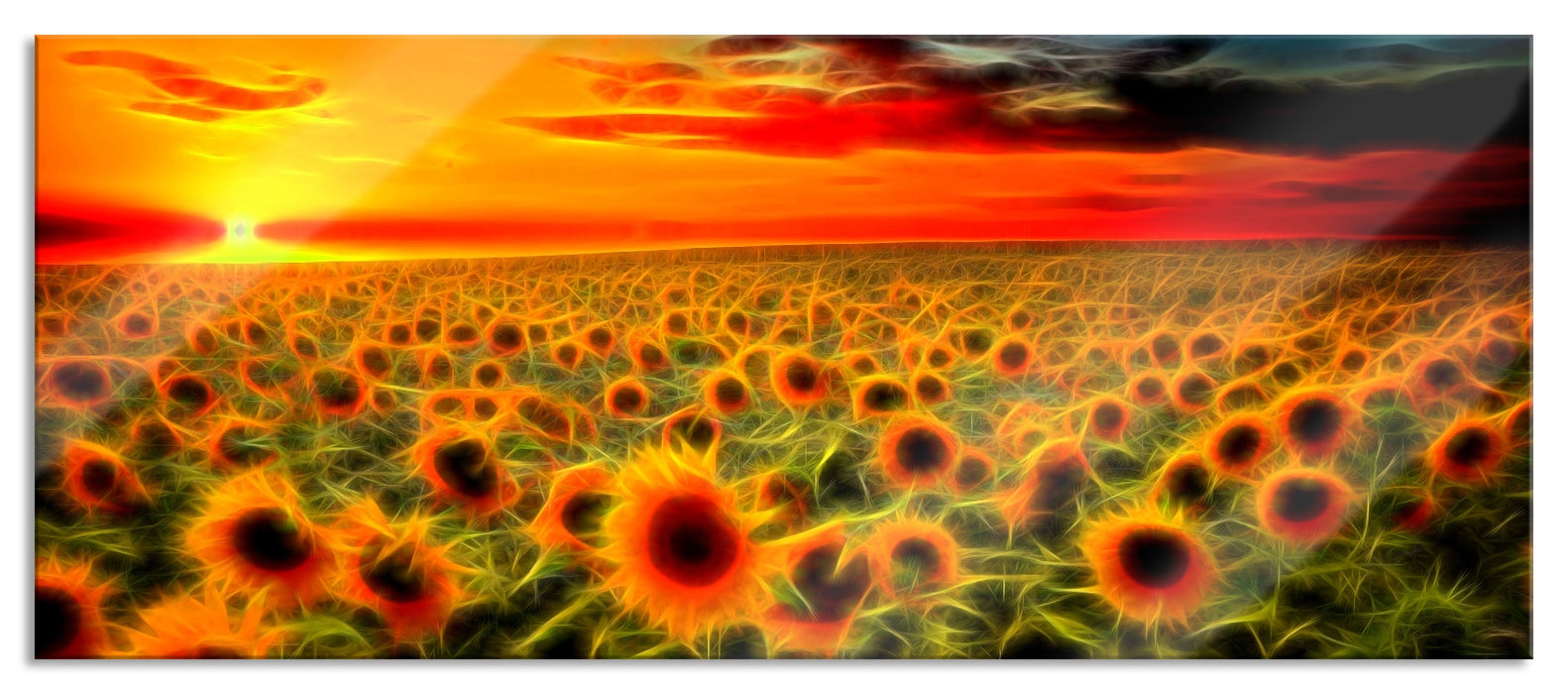 Pixxprint Wunderschönes Sonnenblumenfeld, Glasbild Panorama