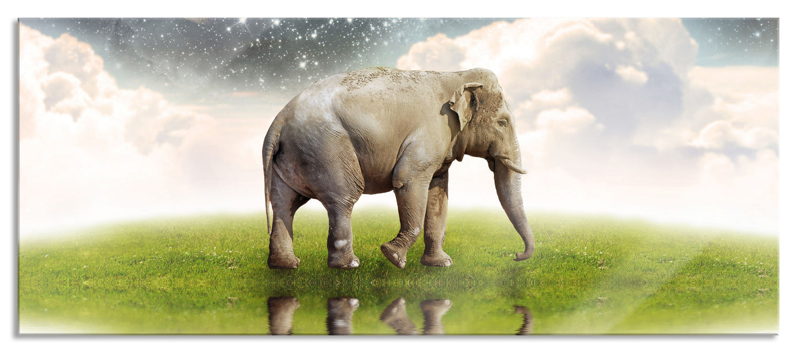 Pixxprint Einsamer Elefant Sternenhimmel, Glasbild Panorama