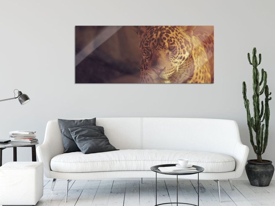 Anmutiger Leopard, Glasbild Panorama