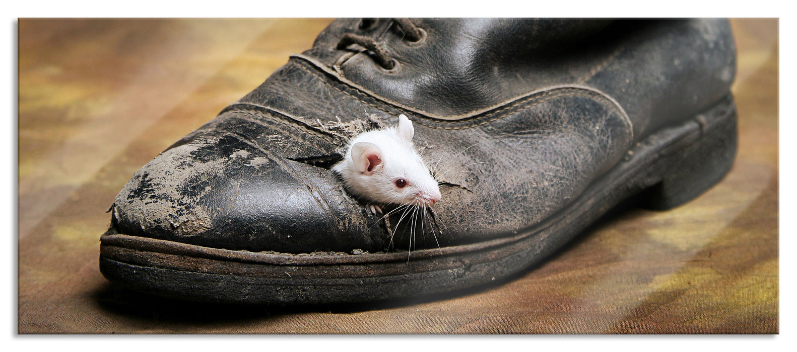 Maus in schwarzem Schuh, Glasbild Panorama