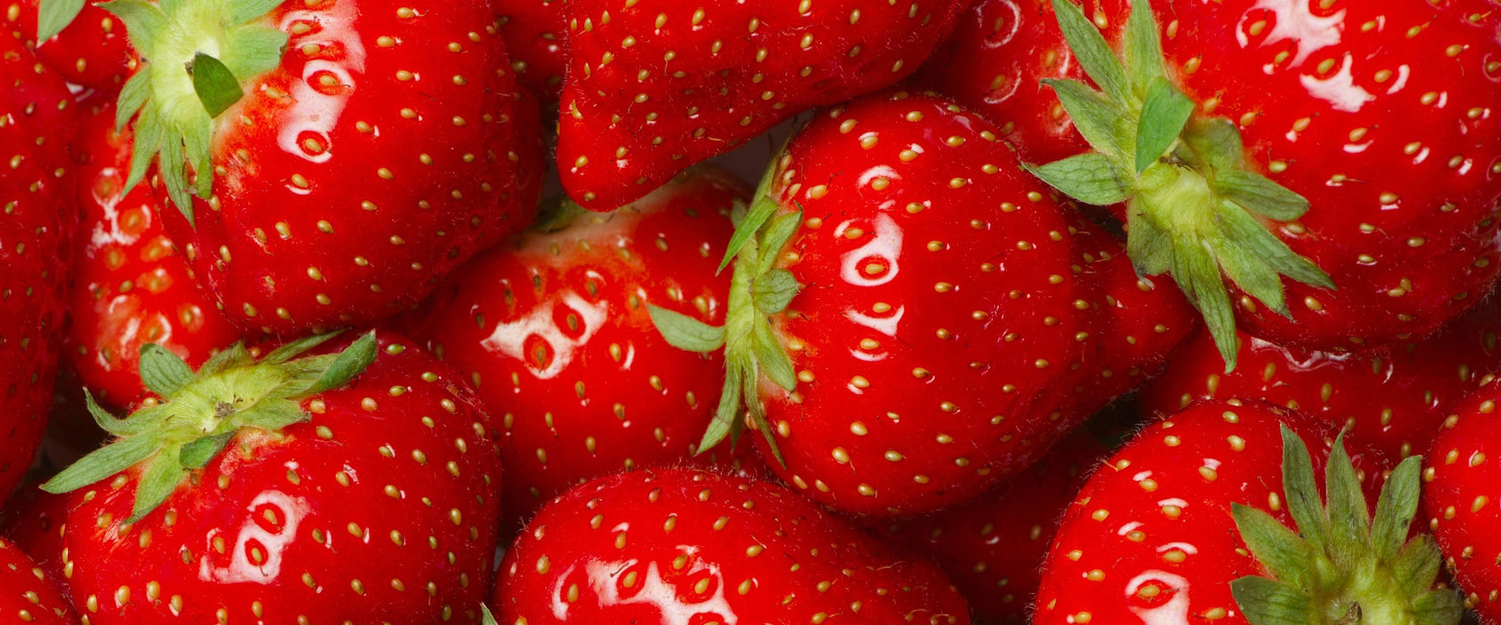 Leckere frische Erdbeeren, Glasbild Panorama