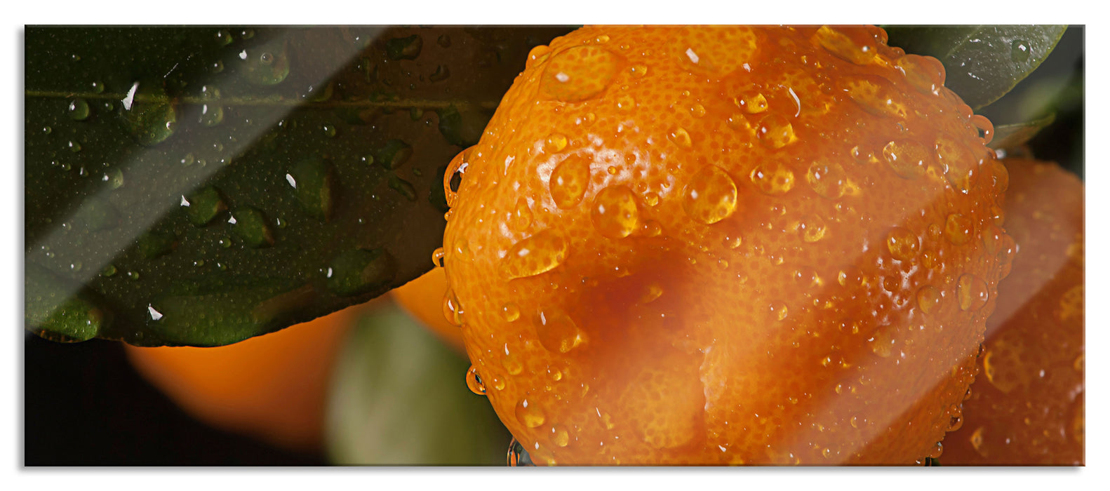 Saftige frische Orange, Glasbild Panorama