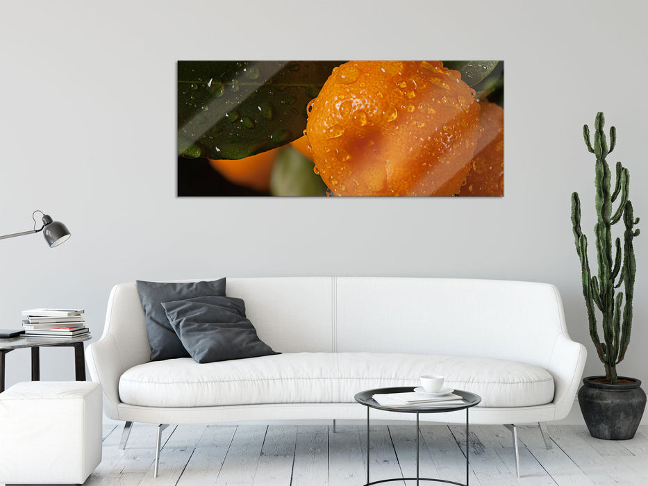 Saftige frische Orange, Glasbild Panorama