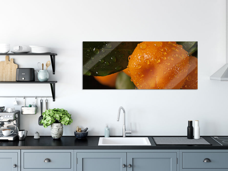 Saftige frische Orange, Glasbild Panorama