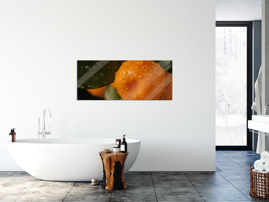 Saftige frische Orange, Glasbild Panorama