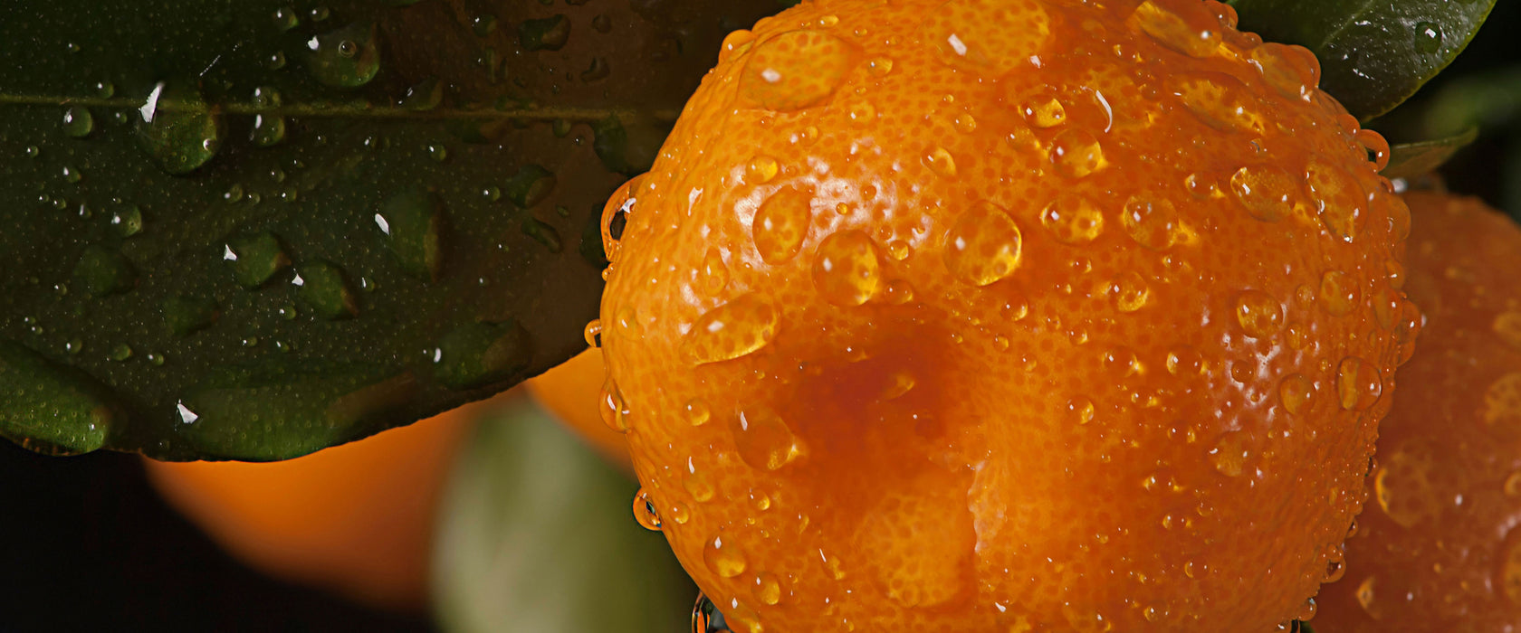 Saftige frische Orange, Glasbild Panorama