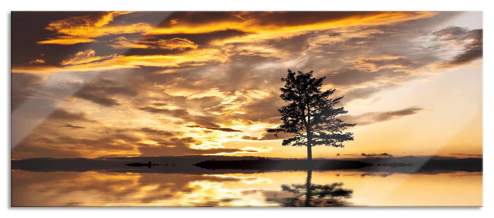 Einsamer Baum auf Insel, Glasbild Panorama