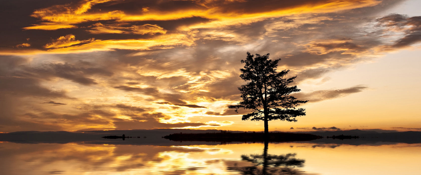 Einsamer Baum auf Insel, Glasbild Panorama