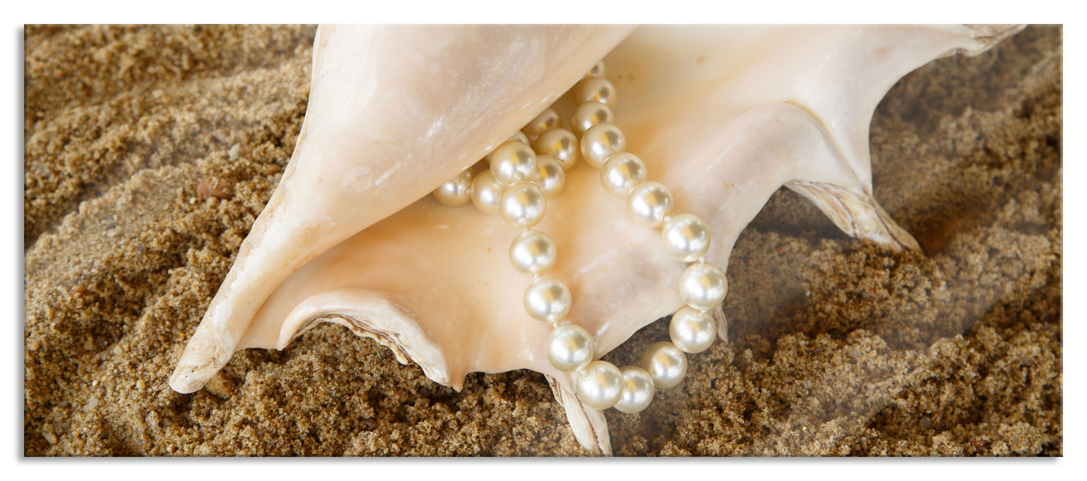 Pixxprint Muschel mit Perlenkette, Glasbild Panorama