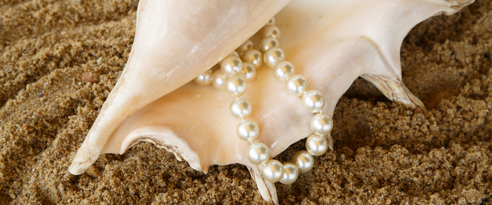 Muschel mit Perlenkette, Glasbild Panorama