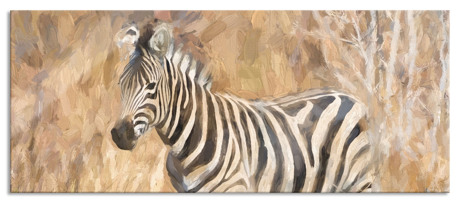 Anmutiges Zebra in Savanne, Glasbild Panorama