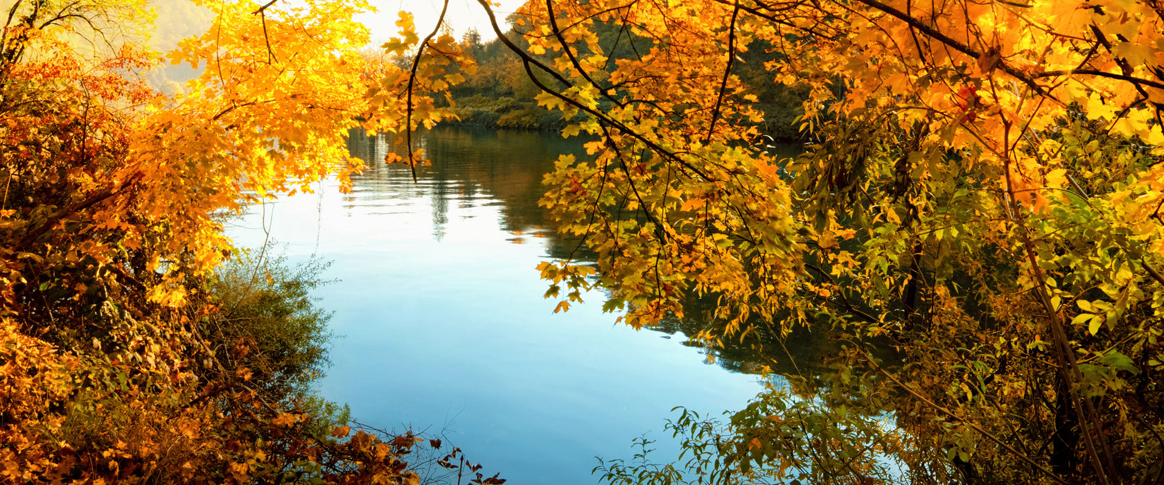 Landschaft mit See und Bäumen, Glasbild Panorama