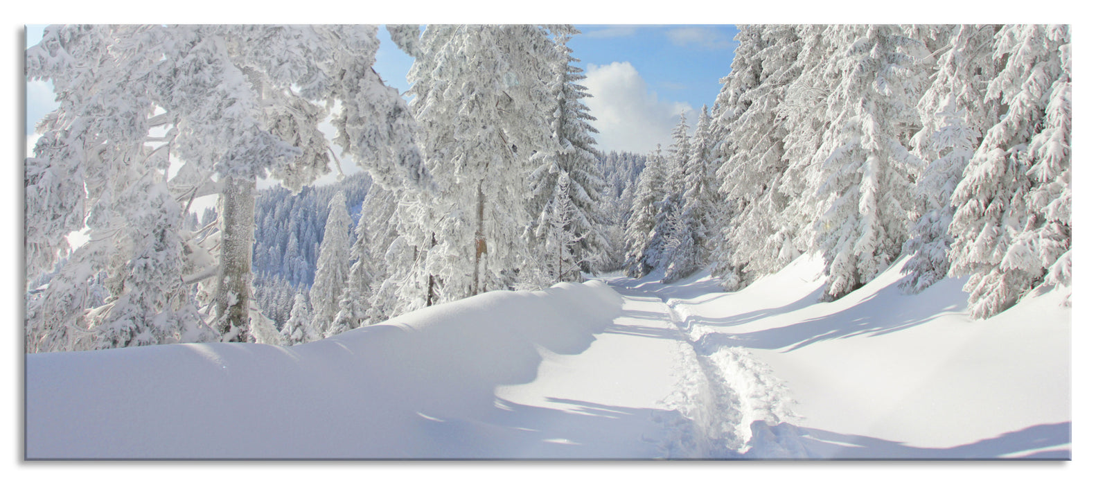 Winterlandschaft Bäume, Glasbild Panorama