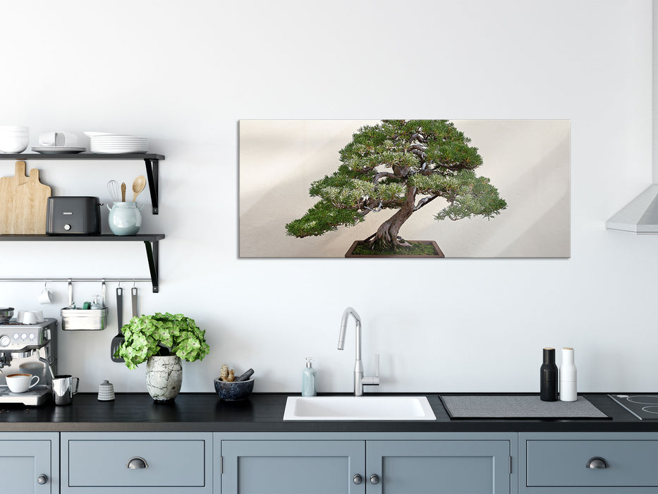 Bonsai Baum, Glasbild Panorama