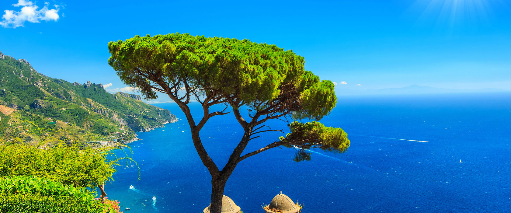 baum am blauen meer, Glasbild Panorama