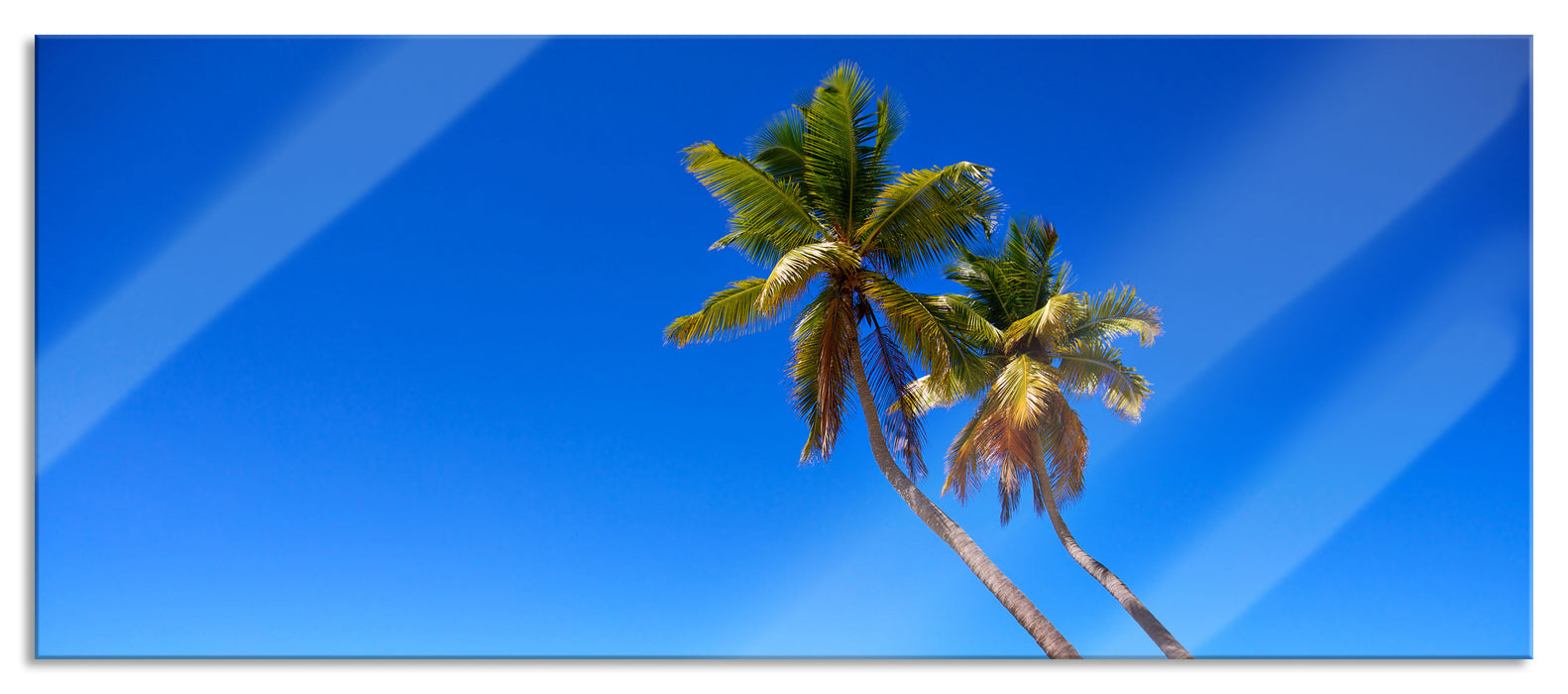 Palmen am Strand, Glasbild Panorama