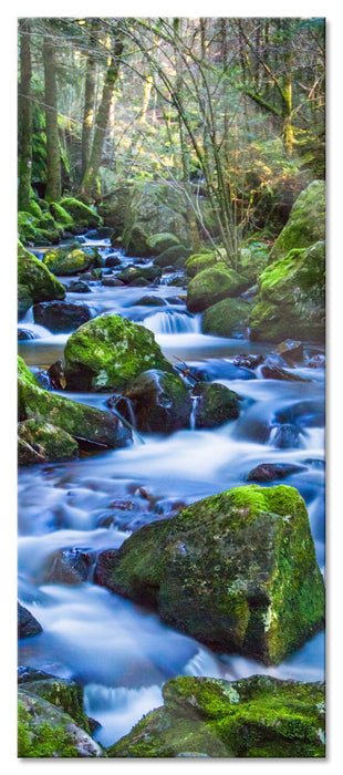 Wilder Bach, Glasbild Panorama