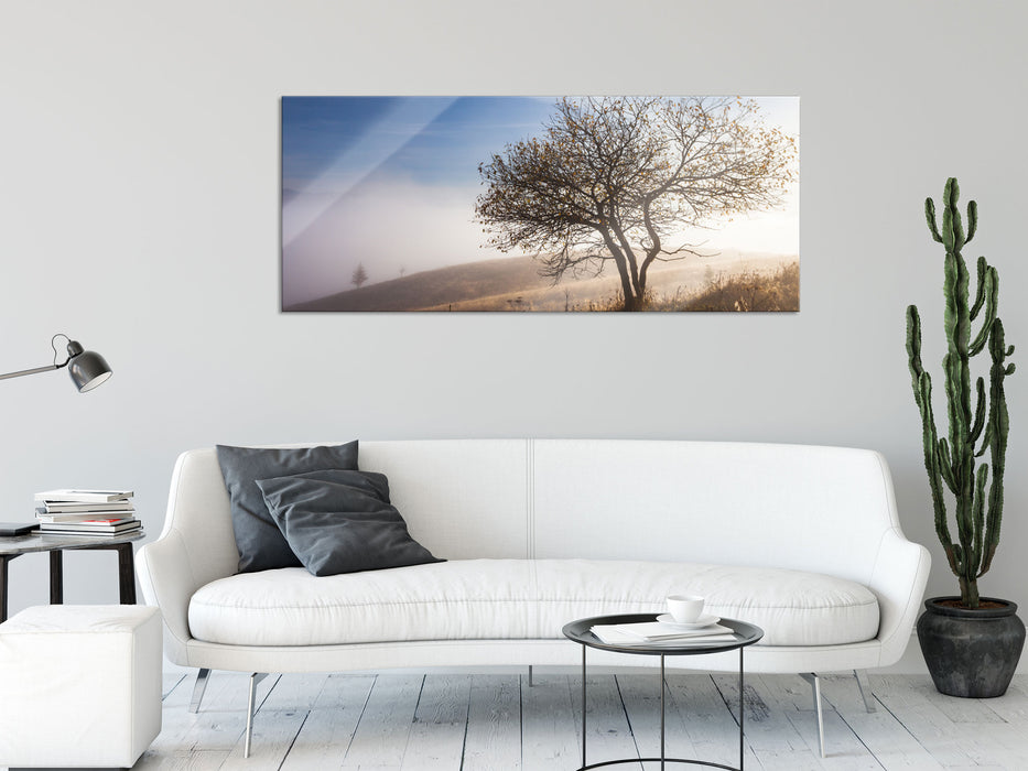 Baum im hohen Gras, Glasbild Panorama