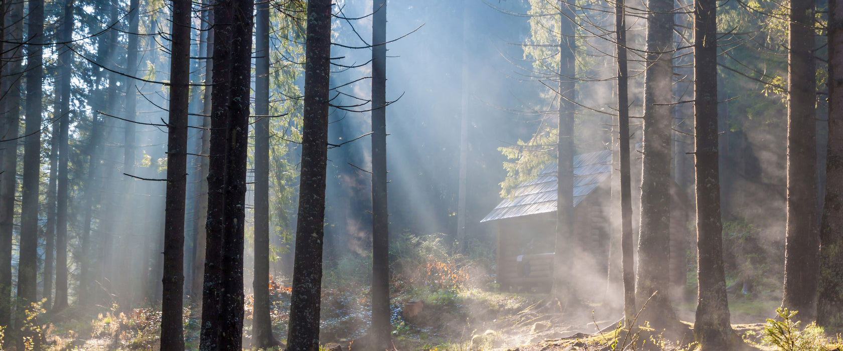 Sonnenstrahlen im Wald, Glasbild Panorama