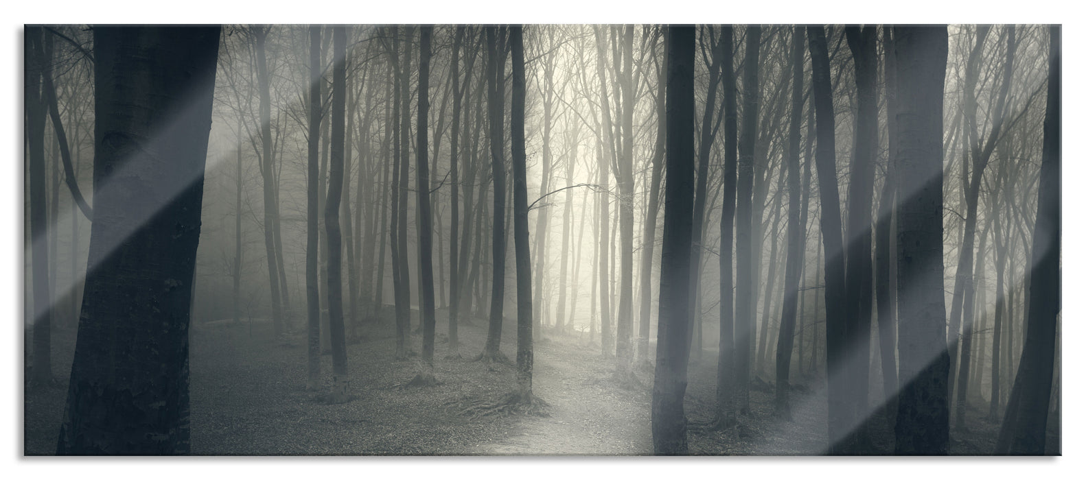 Düstere Landschaft schwarz weiß, Glasbild Panorama