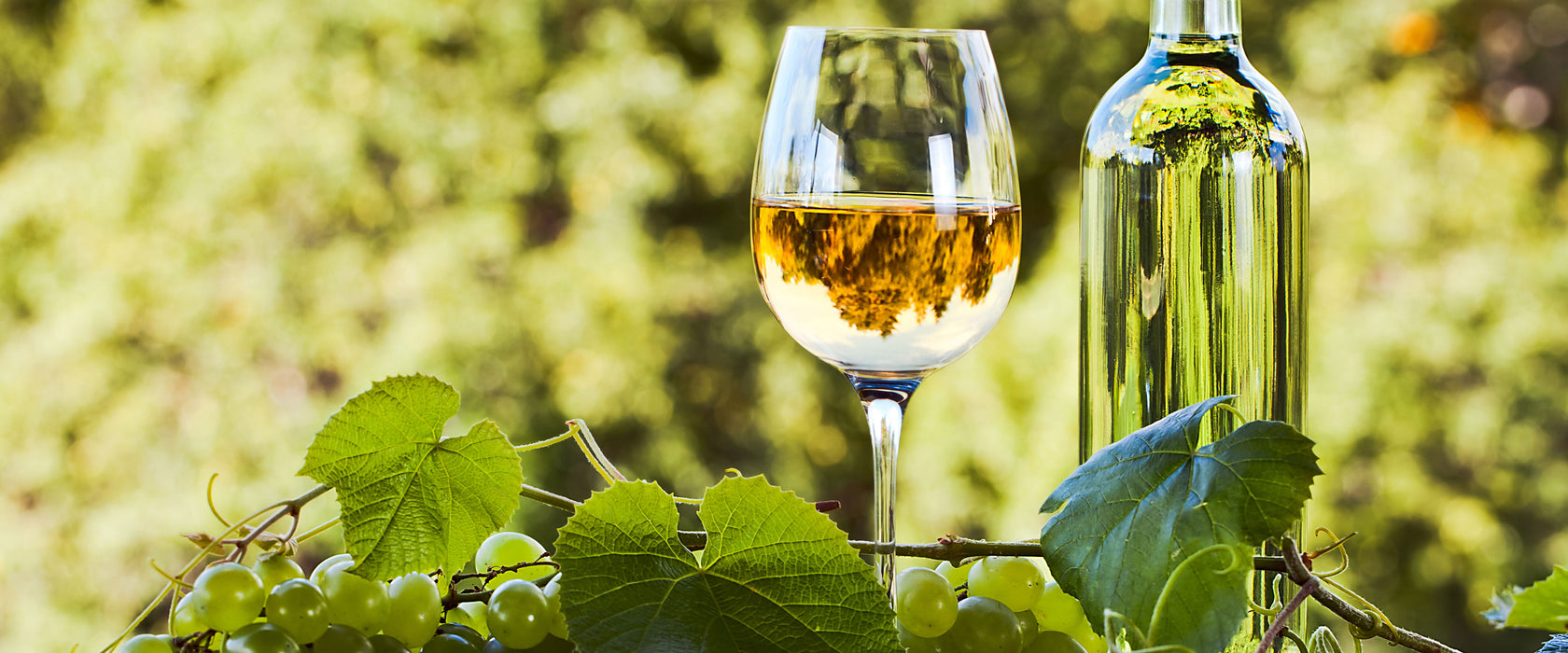 Wein und Weintrauben, Glasbild Panorama