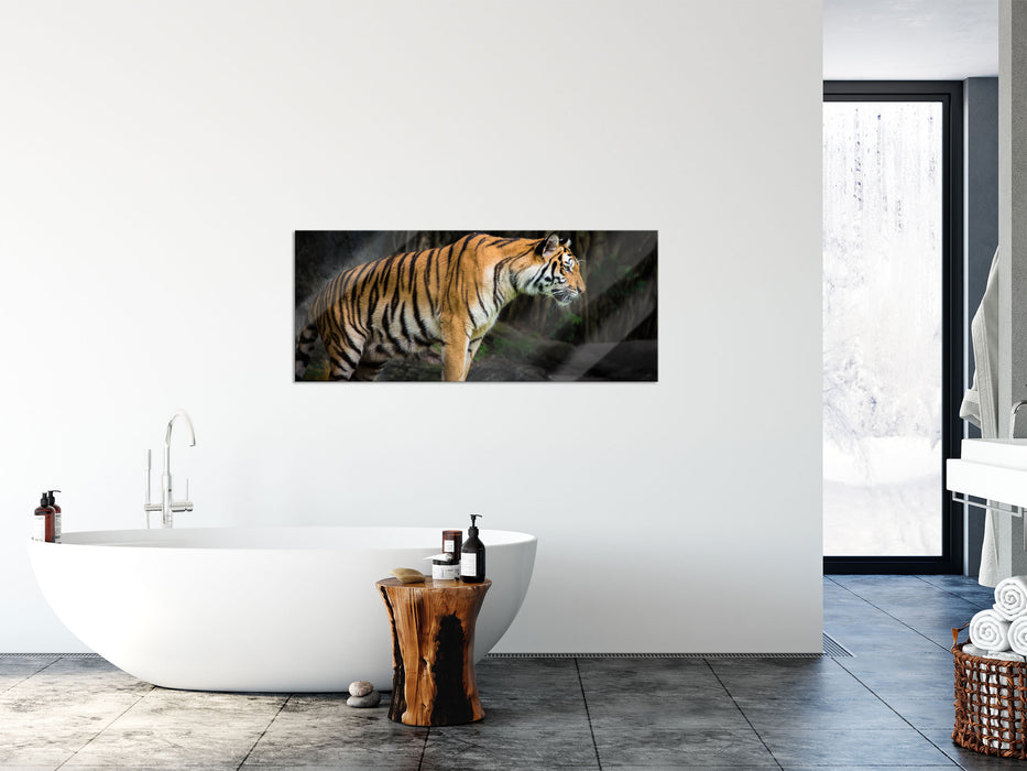 Tiger, Glasbild Panorama