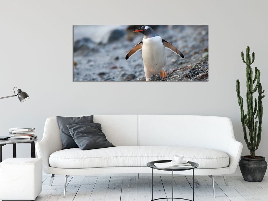 Pinguine, Glasbild Panorama