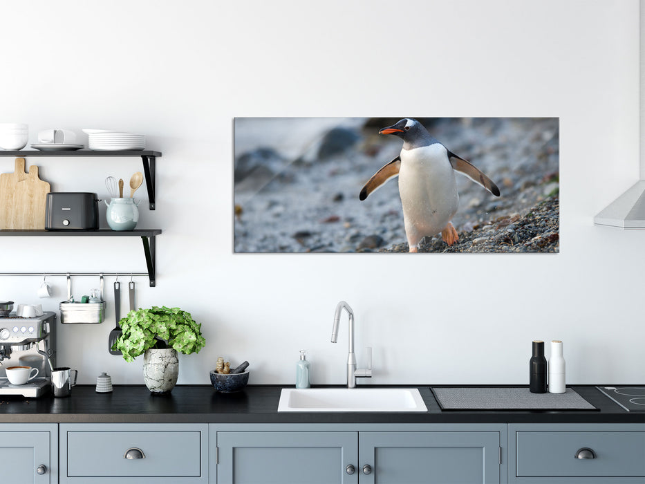 Pinguine, Glasbild Panorama