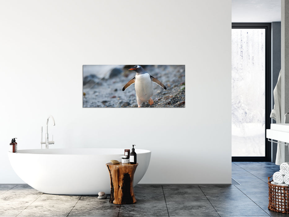 Pinguine, Glasbild Panorama