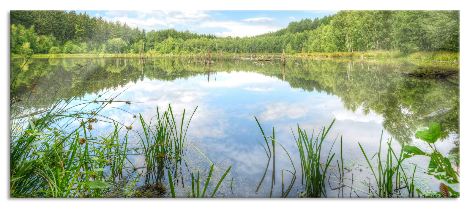 Pixxprint Waldsee Nachmittagstraum, Glasbild Panorama