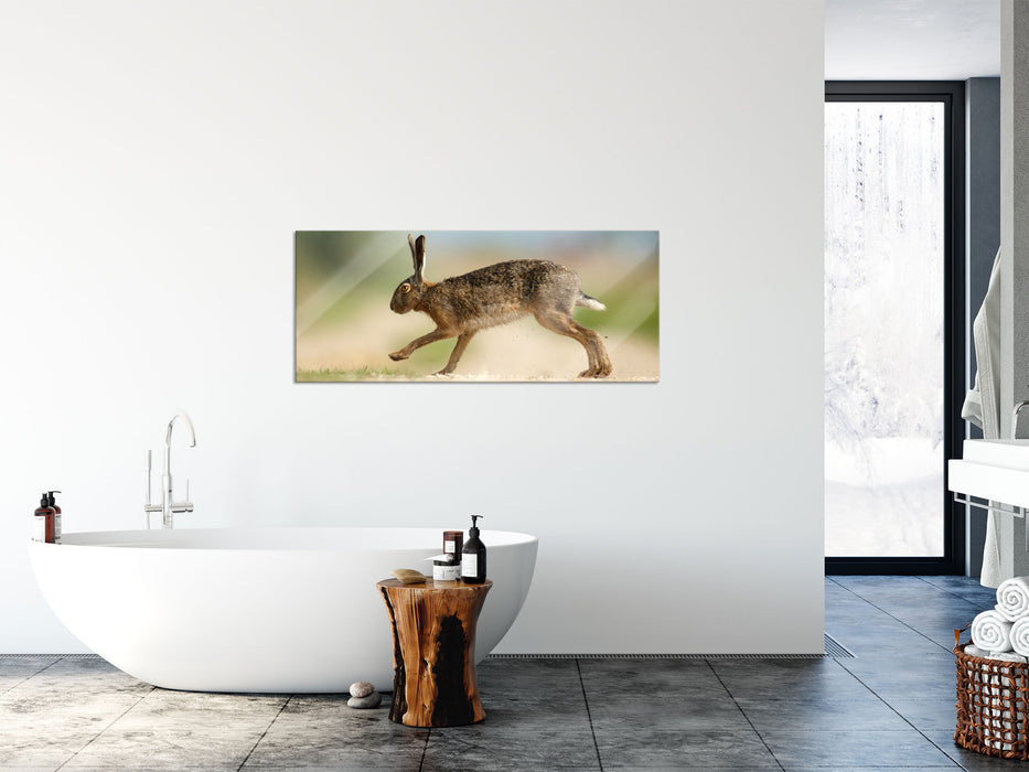 Hüpfender Hase, Glasbild Panorama