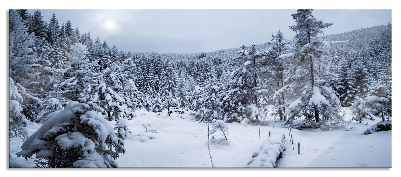 Winterlandschaft vereister See, Glasbild Panorama