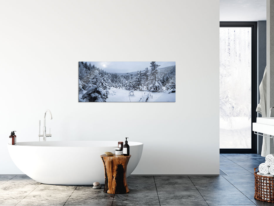 Winterlandschaft vereister See, Glasbild Panorama