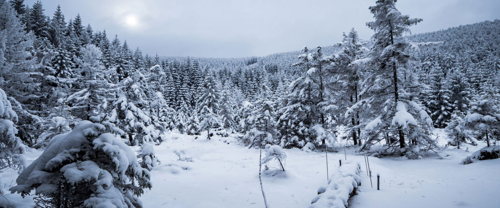 Winterlandschaft vereister See, Glasbild Panorama