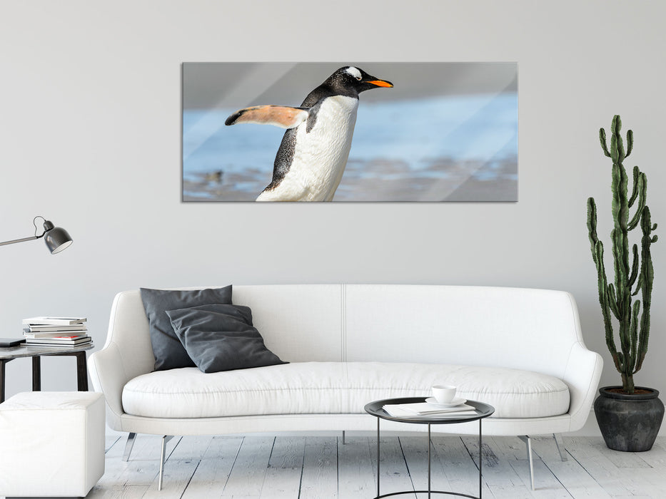 Pinguin am Strand, Glasbild Panorama