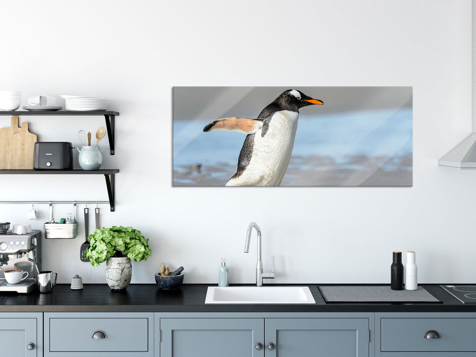 Pinguin am Strand, Glasbild Panorama