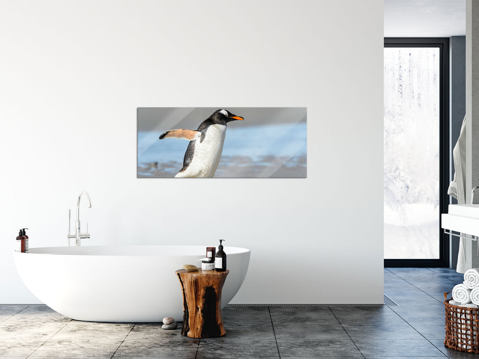 Pinguin am Strand, Glasbild Panorama