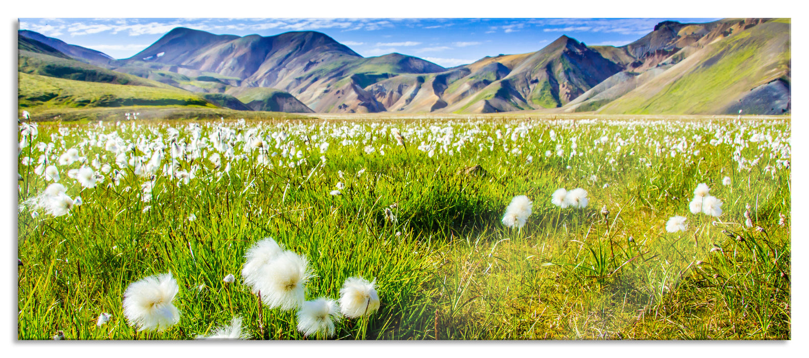 Pixxprint Alpenwiese, Glasbild Panorama